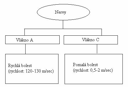 Schema TENS